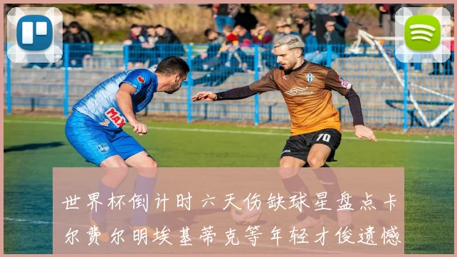 世界杯倒计时六天伤缺球星盘点卡尔费尔明埃基蒂克等年轻才俊遗憾缺席