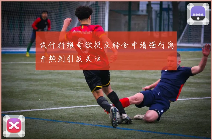 武什科维奇欲提交转会申请强行离开热刺引发关注